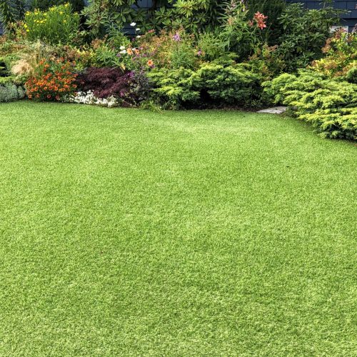 A beautiful artificial lawn in the front yard with nice flowers and shrubs surrounding it